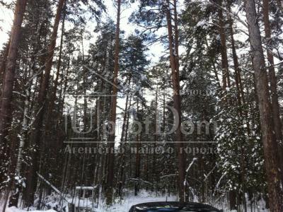 Дом в дачном кооперативе, Дом в дачном кооперативе,
