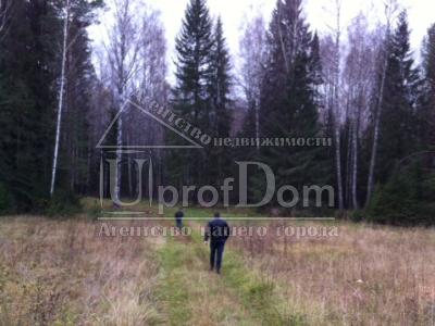 Земельный участок в Нытвенском районе, Земельный участок в Нытвенском районе,