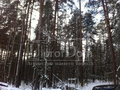 Дом в дачном кооперативе, Дом в дачном кооперативе,